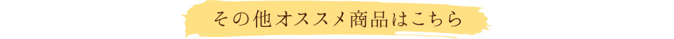 その他オススメ商品はこちら